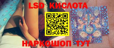 прущие грибы Новокубанск