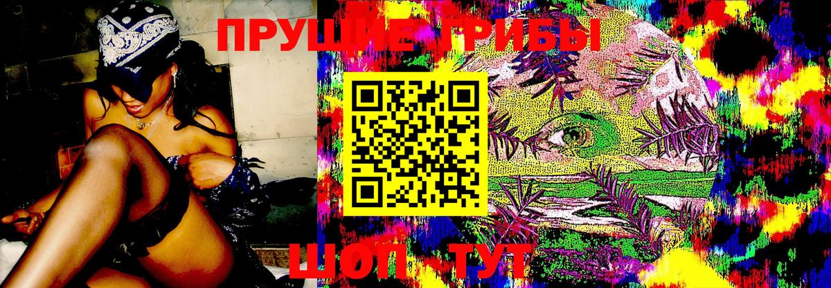 Тихвин  Псилоцибиновые грибы мухоморы  Галлюциногенные грибы Psilocybine cubensis  Вход с VPN 