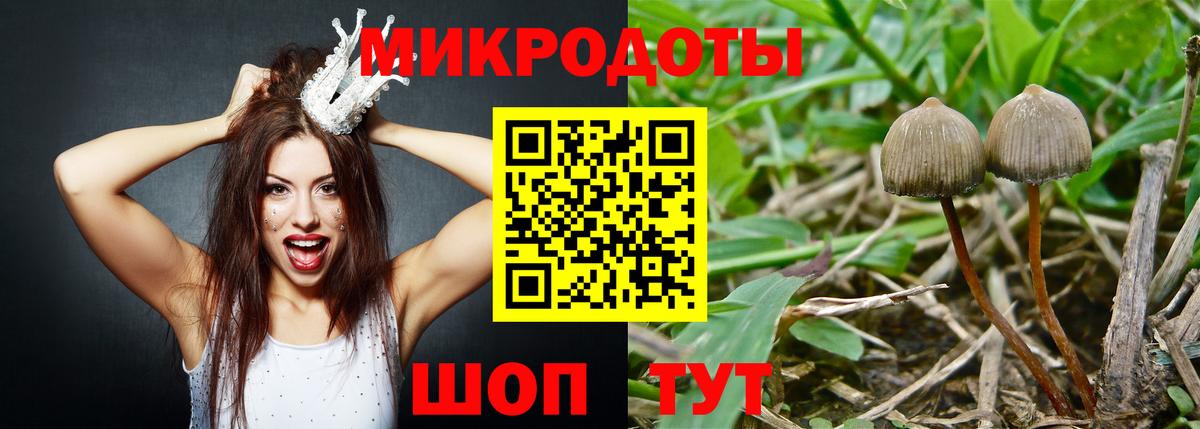 Галлюциногенные грибы GOLDEN TEACHER Тихвин